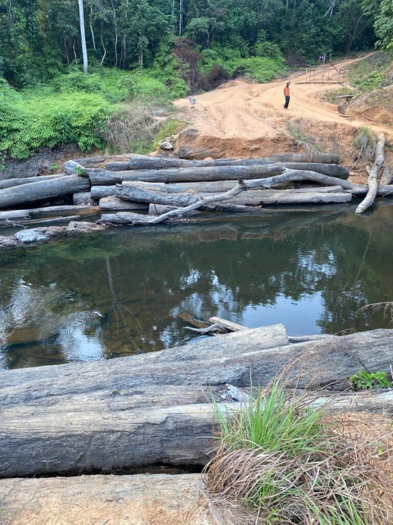 A man on a log in a river studies the geological landscape of the new Liberia mining company site.