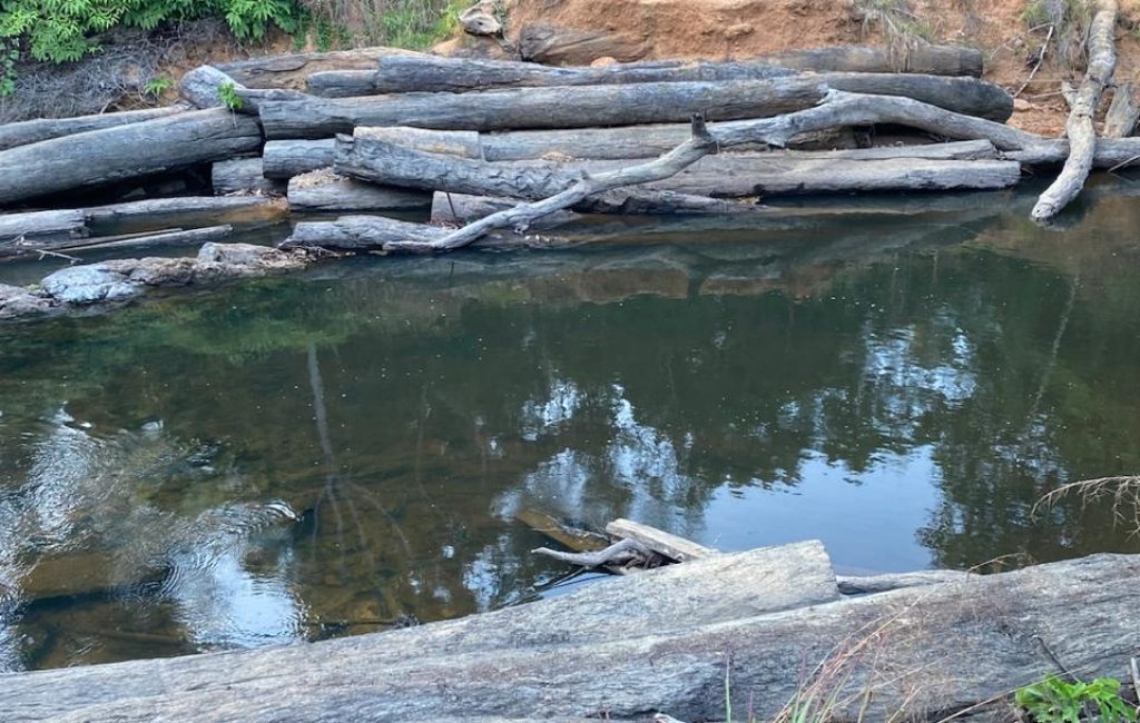 A man on a log in a river studies the geological landscape of the new Liberia mining company site.